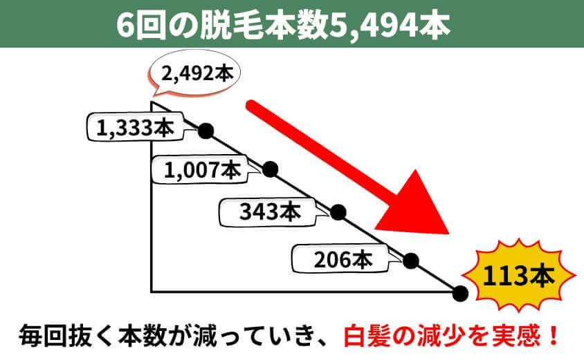 【図解】6回の脱毛本数