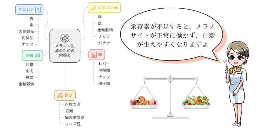 メラニン色素の生成に必要な栄養素