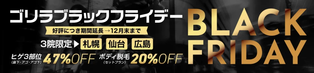 12月キャンペーン!ブラックフライデー割