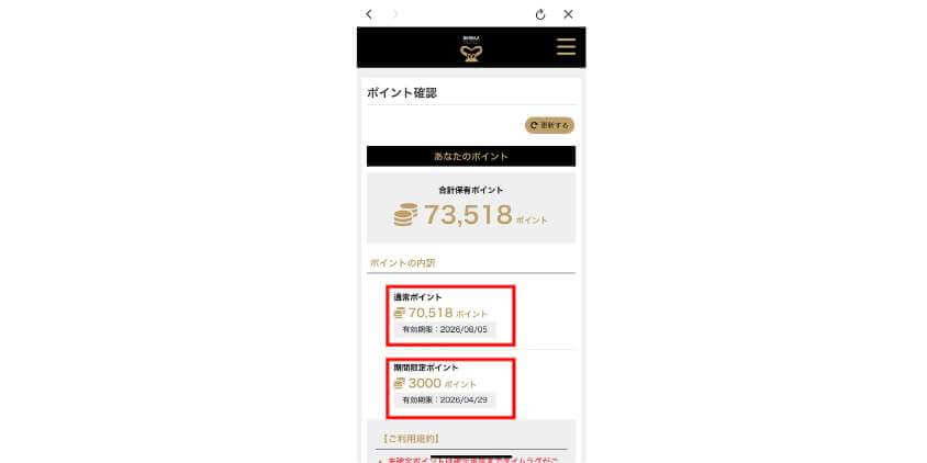 ポイント内訳と有効期限