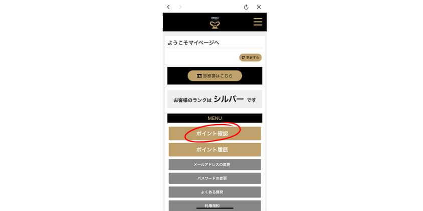 ポイント確認をタップ