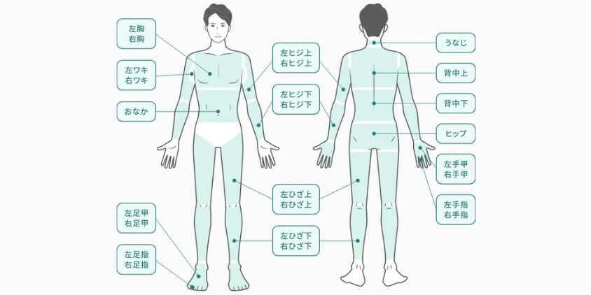 全身脱毛の部位