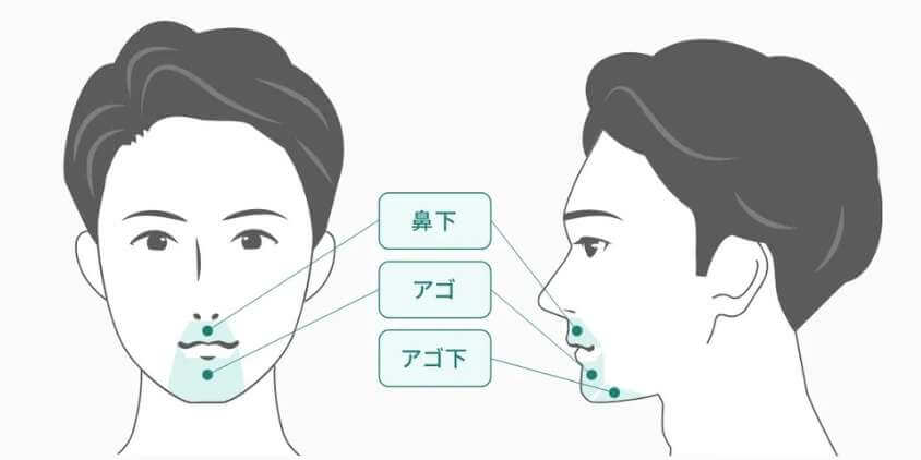 フレイア3部位