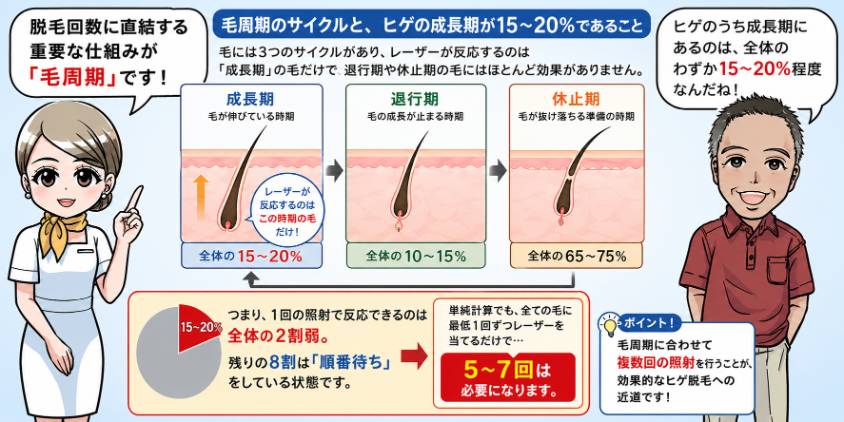皮膚下4mmまで届くヒゲと2〜3mmの腕毛の深さ比較